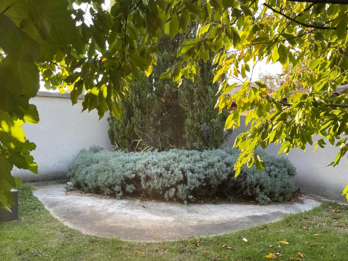 Studio Les Petits Lutins Entraigues-sur-la-Sorgue Екстер'єр фото