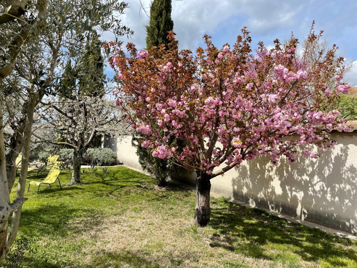 Studio Les Petits Lutins Entraigues-sur-la-Sorgue Екстер'єр фото